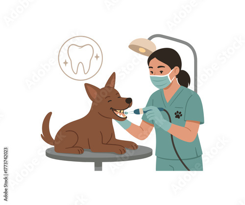 dog teeth whitening safe veterinary procedure and oral aesthetics care flat vector illustration style isolated on white background