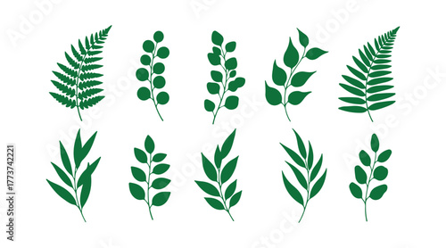 Illustrations of various green plant branches and leaves done in a calligraphy style line drawing