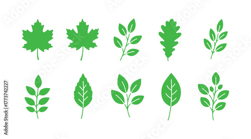 Illustrations of various green plant branches and leaves done in a calligraphy style line drawing

