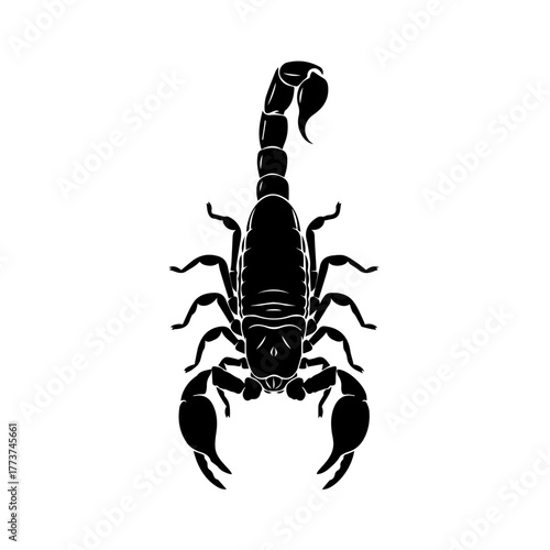 Black scorpion vector illustration on a white background, viewed from above with its tail curled.