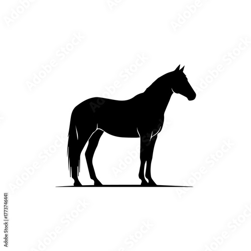 Elegant black silhouette of a majestic horse standing in profile on a clean white background.