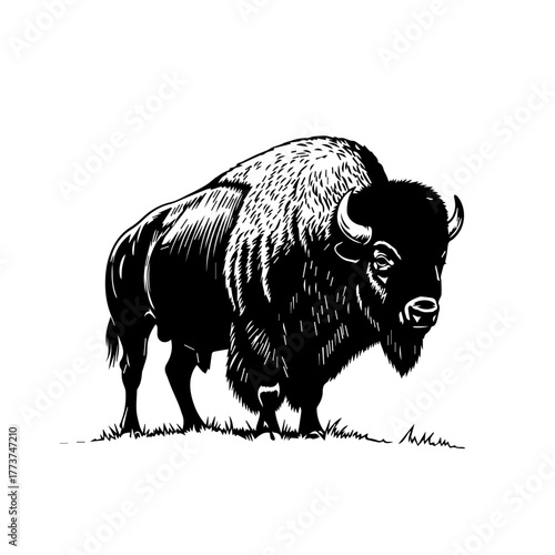 Illustration of a bison standing on grass in black and white.