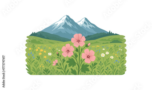 mountain mallow field alpine meadow and natural flora diversity flat vector illustration style isolated on white background