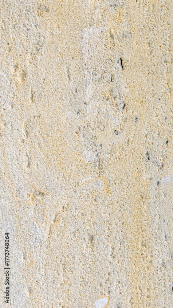 Fototapeta premium light limestone with interesting texture visible. background