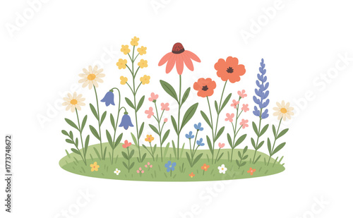 spring meadow with mixed wildflowers seasonal growth and biodiversity flat vector illustration style isolated on white background