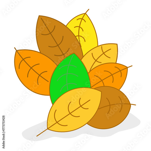 autumn leaves on white background