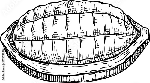 Cupuacu - tropical plant sketch. Super fruit hand drawn vector illustration. Amazonian food drawing. NOT AI generated