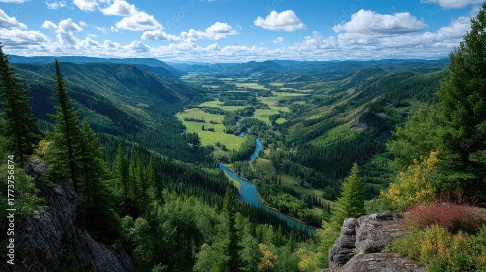Obraz premium Expansive Green Valley with Winding River and Lush Forests Under a Blue Sky with White Clouds