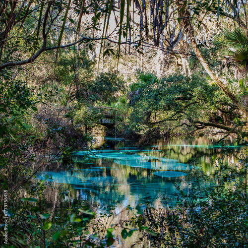 A scene of serenity encompasses the turquoise waters of Juniper Springs, Florida with its quaint humped back wooden bridge draws the eye deep into the image