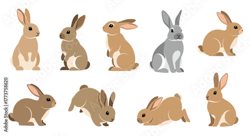 A collection of various cartoon rabbit illustrations against a white background, in various poses.