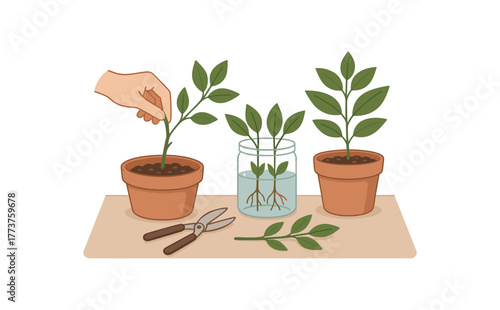 plant propagation ritual rooting cuttings and nurturing new growth slow gardening flat vector illustration style isolated on white background