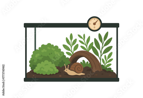 pet snail terrarium setup moss plants humidity control and habitat design flat vector illustration style isolated on white background