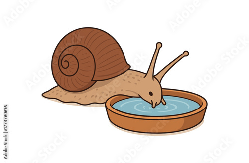 snail drinking water from shallow dish hydration and proper care flat vector illustration style isolated on white background