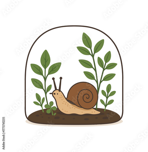 snail and small plants symbiotic relationship inside terrarium environment flat vector illustration style isolated on white background