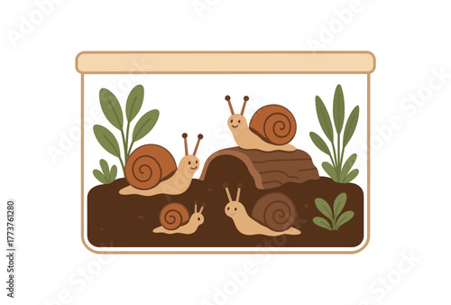 pet snail family multiple snails shared terrarium habitat flat vector illustration style isolated on white background