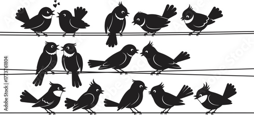 Photos Black silhouette birds sitting on electric wire, singing and chirping, minimalis