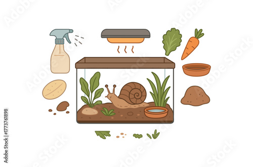 snail care infographic educational illustration of pet snail essentials flat vector illustration style isolated on white background
