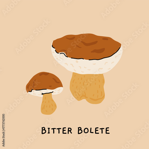 Toxic and poisonous mushrooms flat vector illustration set. Death cap, destroying angel, deadly webcap, fools mushroom, satans bolete, funeral bell, false chanterelle, deadly fibrecap.