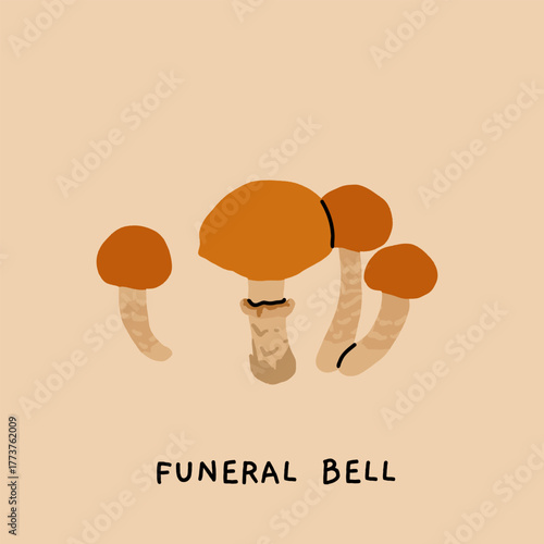 Toxic and poisonous mushrooms flat vector illustration set. Death cap, destroying angel, deadly webcap, fools mushroom, satans bolete, funeral bell, false chanterelle, deadly fibrecap.