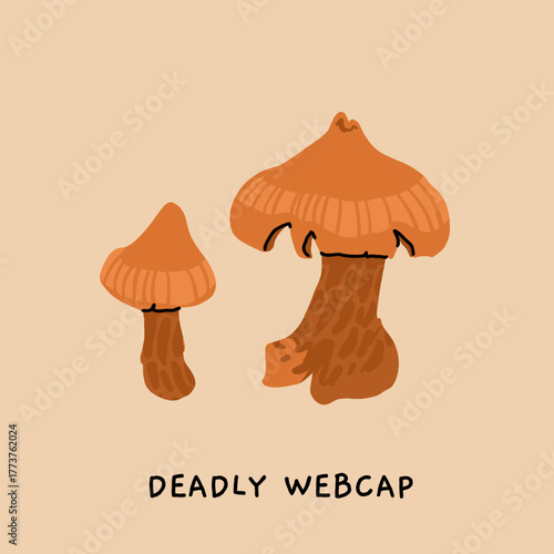 Toxic and poisonous mushrooms flat vector illustration set. Death cap, destroying angel, deadly webcap, fools mushroom, satans bolete, funeral bell, false chanterelle, deadly fibrecap.