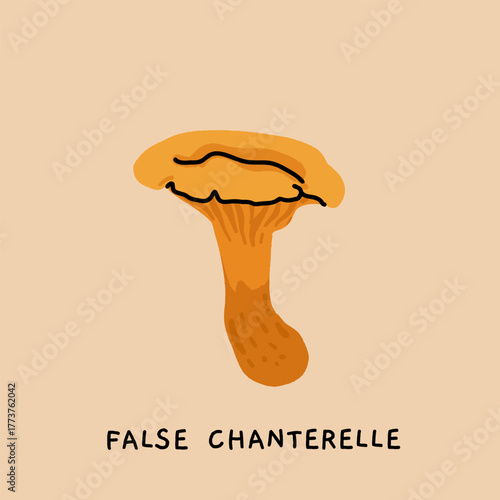 Toxic and poisonous mushrooms flat vector illustration set. Death cap, destroying angel, deadly webcap, fools mushroom, satans bolete, funeral bell, false chanterelle, deadly fibrecap.