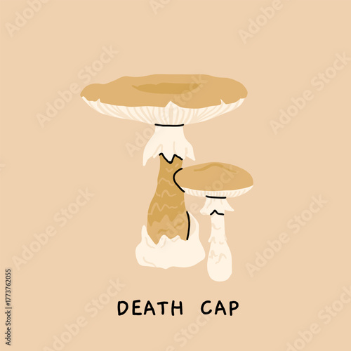 Toxic and poisonous mushrooms flat vector illustration set. Death cap, destroying angel, deadly webcap, fools mushroom, satans bolete, funeral bell, false chanterelle, deadly fibrecap.