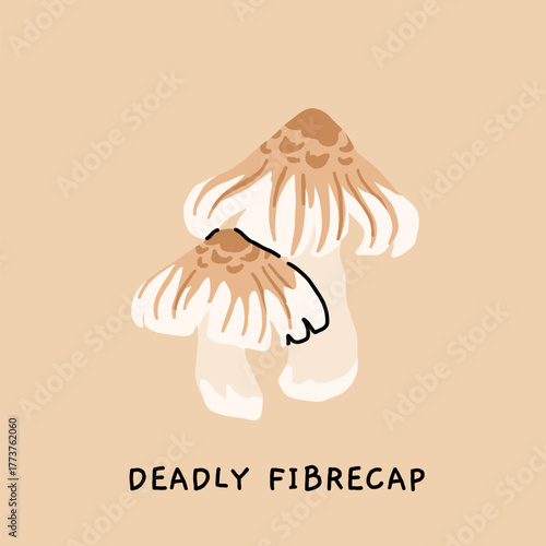 Toxic and poisonous mushrooms flat vector illustration set. Death cap, destroying angel, deadly webcap, fools mushroom, satans bolete, funeral bell, false chanterelle, deadly fibrecap.