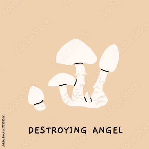 Toxic and poisonous mushrooms flat vector illustration set. Death cap, destroying angel, deadly webcap, fools mushroom, satans bolete, funeral bell, false chanterelle, deadly fibrecap.