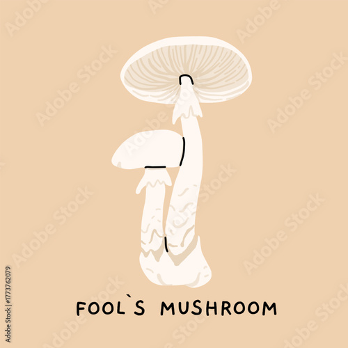 Toxic and poisonous mushrooms flat vector illustration set. Death cap, destroying angel, deadly webcap, fools mushroom, satans bolete, funeral bell, false chanterelle, deadly fibrecap.