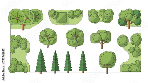 Diverse illustrated tree collection for landscape design, showcasing various styles and views