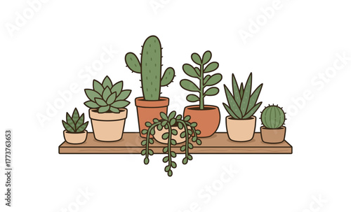 succulent shelf indoor plant arrangement for small apartments flat vector illustration style isolated on white background