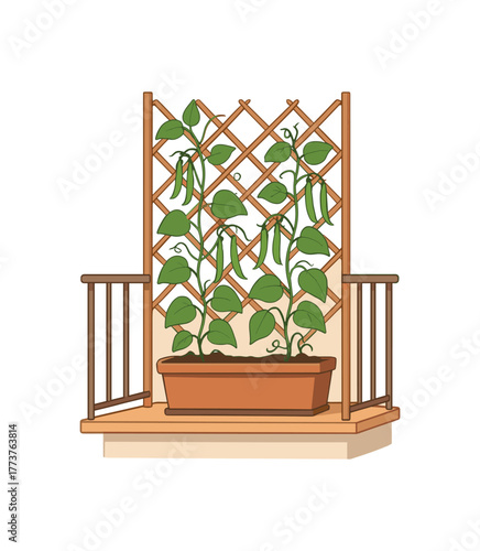 balcony trellis with climbing beans vertical space gardening solution flat vector illustration style isolated on white background