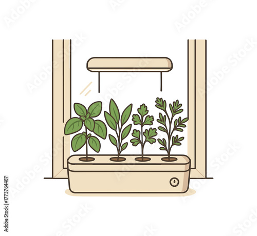 kitchen windowsill hydroponic herb station small space fresh food growing flat vector illustration style isolated on white background