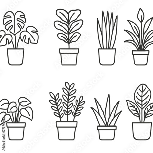 House plant icon set.