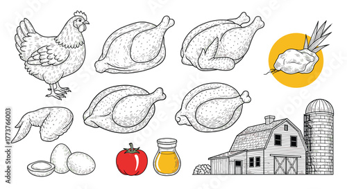 A collection of farm fresh chicken illustrations including whole birds and parts.