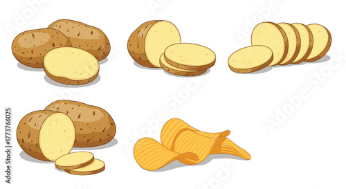 Freshly harvested potatoes sliced and made into delicious crispy chips.