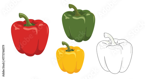 Delicious and versatile bell peppers are a colorful addition to any meal.