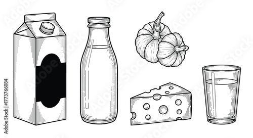 Dairy products including a milk carton a glass bottle cheese and a bunch of grapes in a white background.