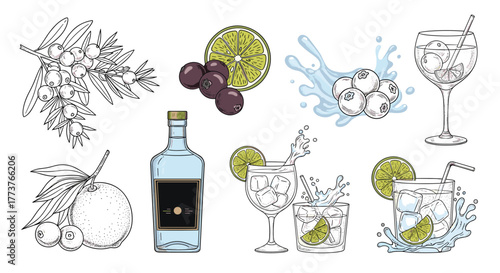 Fresh botanical illustrations and cocktail creations featuring limes and berries.