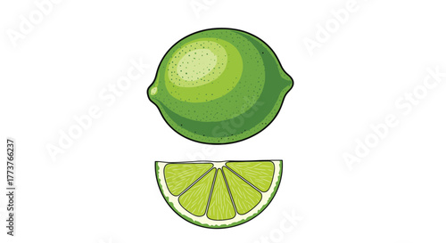 A vibrant green whole lime hovering above a juicy sliced lime wedge displaying its refreshing citrus segments and zest.