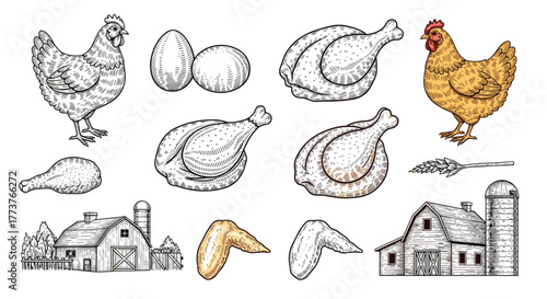 Farm fresh eggs and whole roasted chickens with various cuts of chicken meat displayed on a white background with barn illustrations.