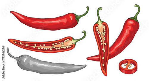 Fresh red chili peppers and their cross sections showcasing seeds and spicy interior textures.