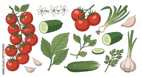 A vibrant collection of fresh garden vegetables including ripe tomatoes cucumbers green onions garlic and herbs perfect for healthy cooking.