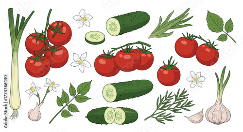 A vibrant collection of fresh garden vegetables and herbs including tomatoes green onions cucumbers garlic and dill flowers and leaves.