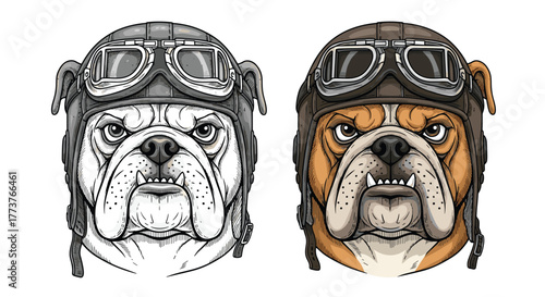 A fierce bulldog wearing a vintage pilot helmet and goggles looking straight ahead in a stoic manner.