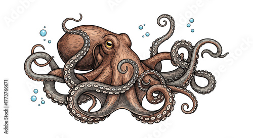 A detailed illustration of a large reddish-brown octopus with its tentacles spread wide amidst small blue bubbles.