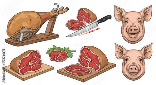 A collection of fresh raw meat cuts and whole cured ham along with pig faces on a white background.