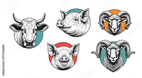A rustic collection of hand-drawn farm animal heads representing different meats.