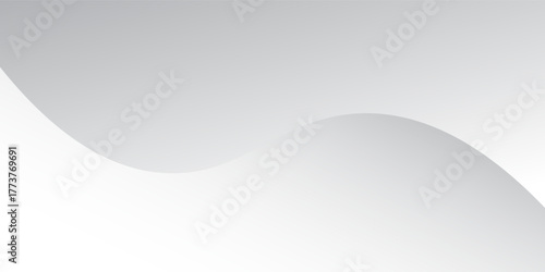 Abstract minimalist white and gray curve modern background. texture white pattern. vector