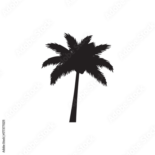 Silhouette of a single palm tree with detailed fronds against a white background, creating a simple yet elegant tropical design.